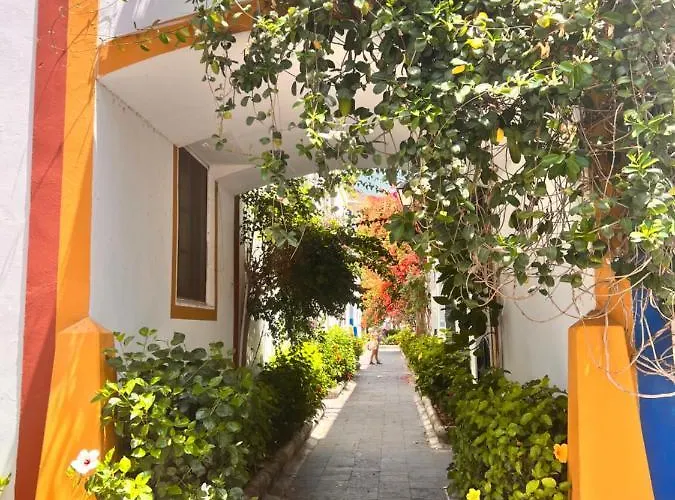 Yumbo Camelias * Πλάγια ντελ Ινγκλές