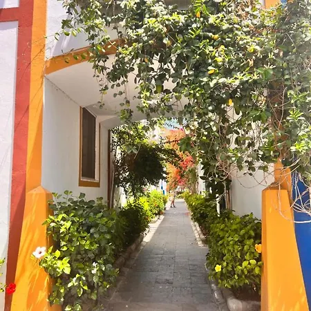 Yumbo Camelias * プラヤ・デル・イングレス